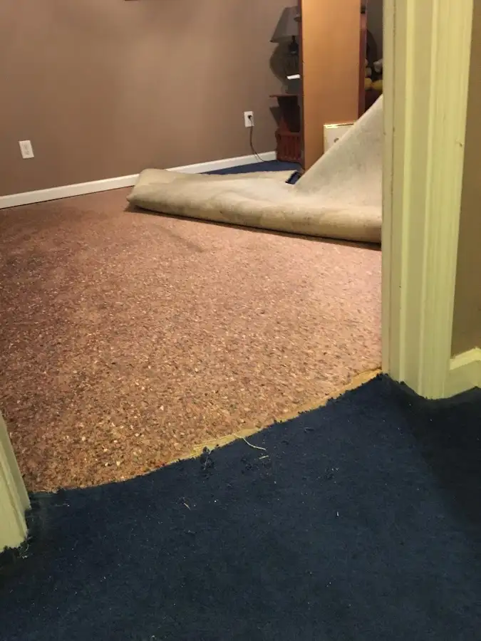 Carpet pad removal revealing water damage during Drying & Dehumidification in Gurnee