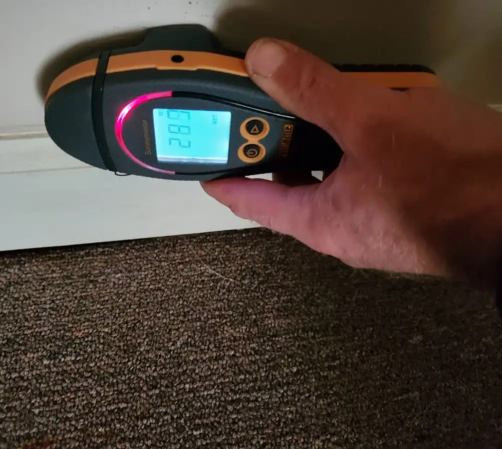 Moisture detection at baseboard during Sewage Cleanup & Sanitation in Gurnee